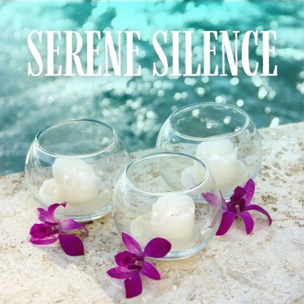 Picture of Serene Silence: Calming Spa Music