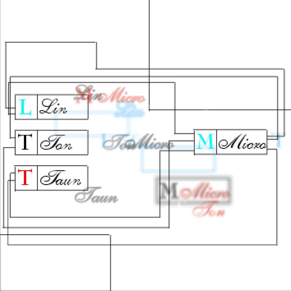 Picture of Micro (Castellano)