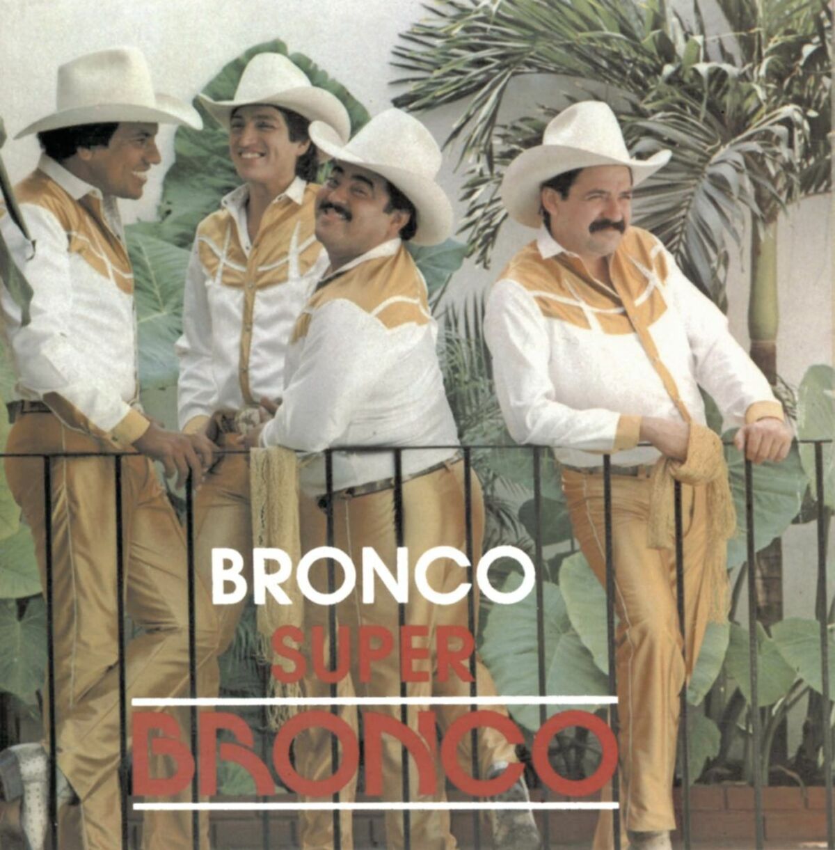 Album cover of No Nos Vamos a Olvidar