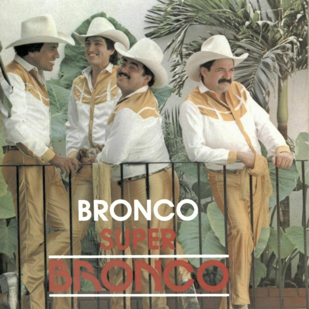 Picture of Bronco Súper Bronco