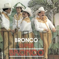 Cover of Bronco Súper Bronco