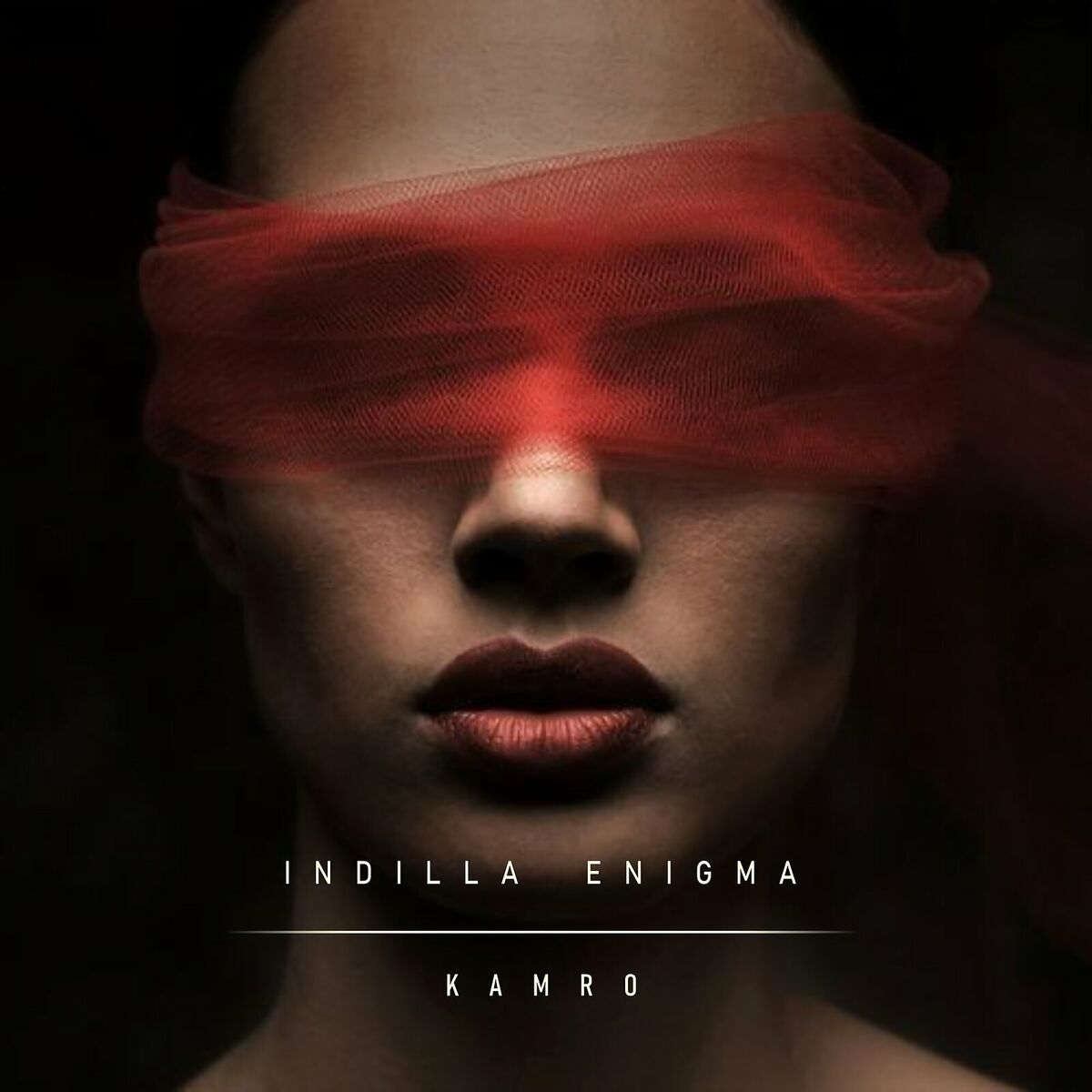 Album cover of Indilla Enigma