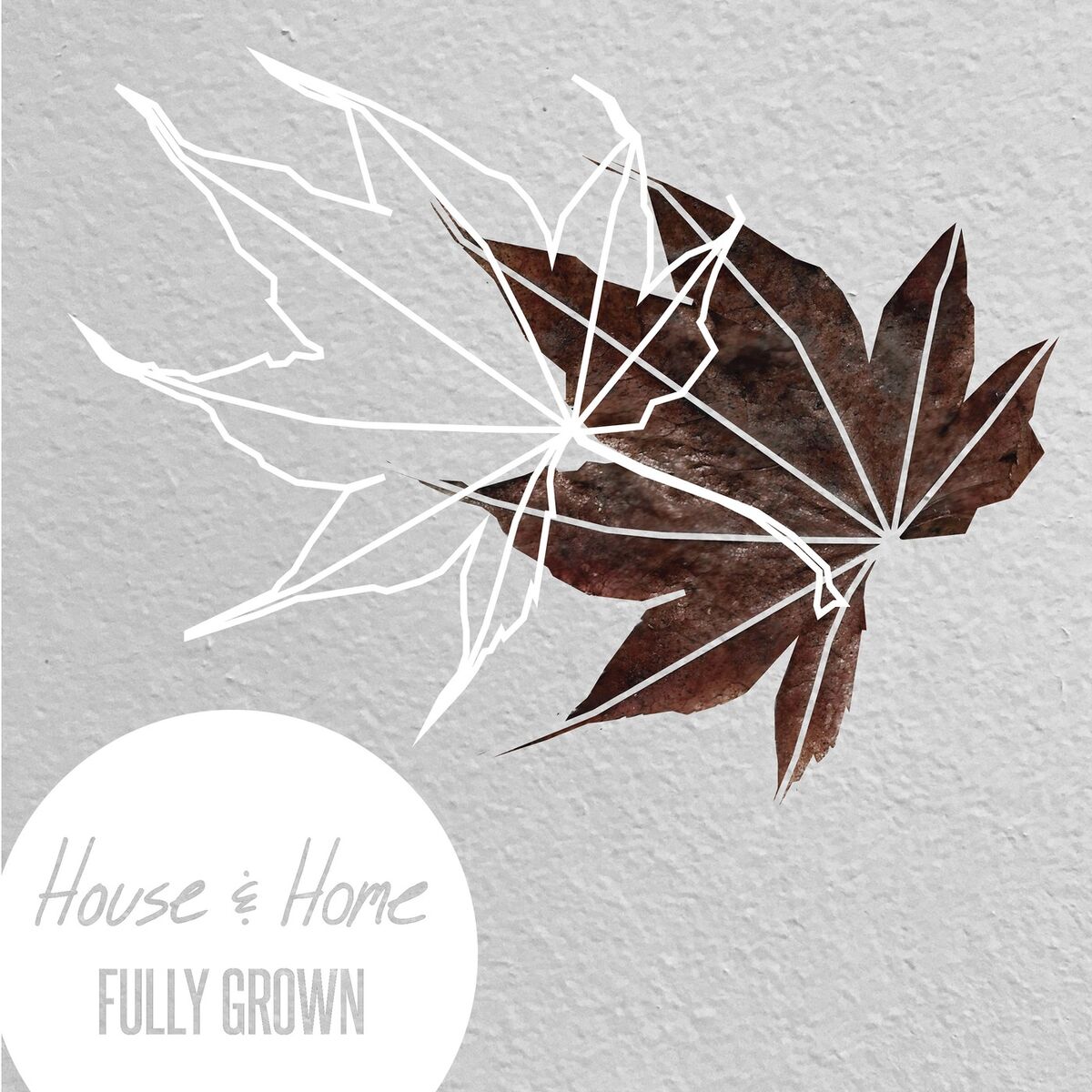 Album cover of Fully Grown - EP