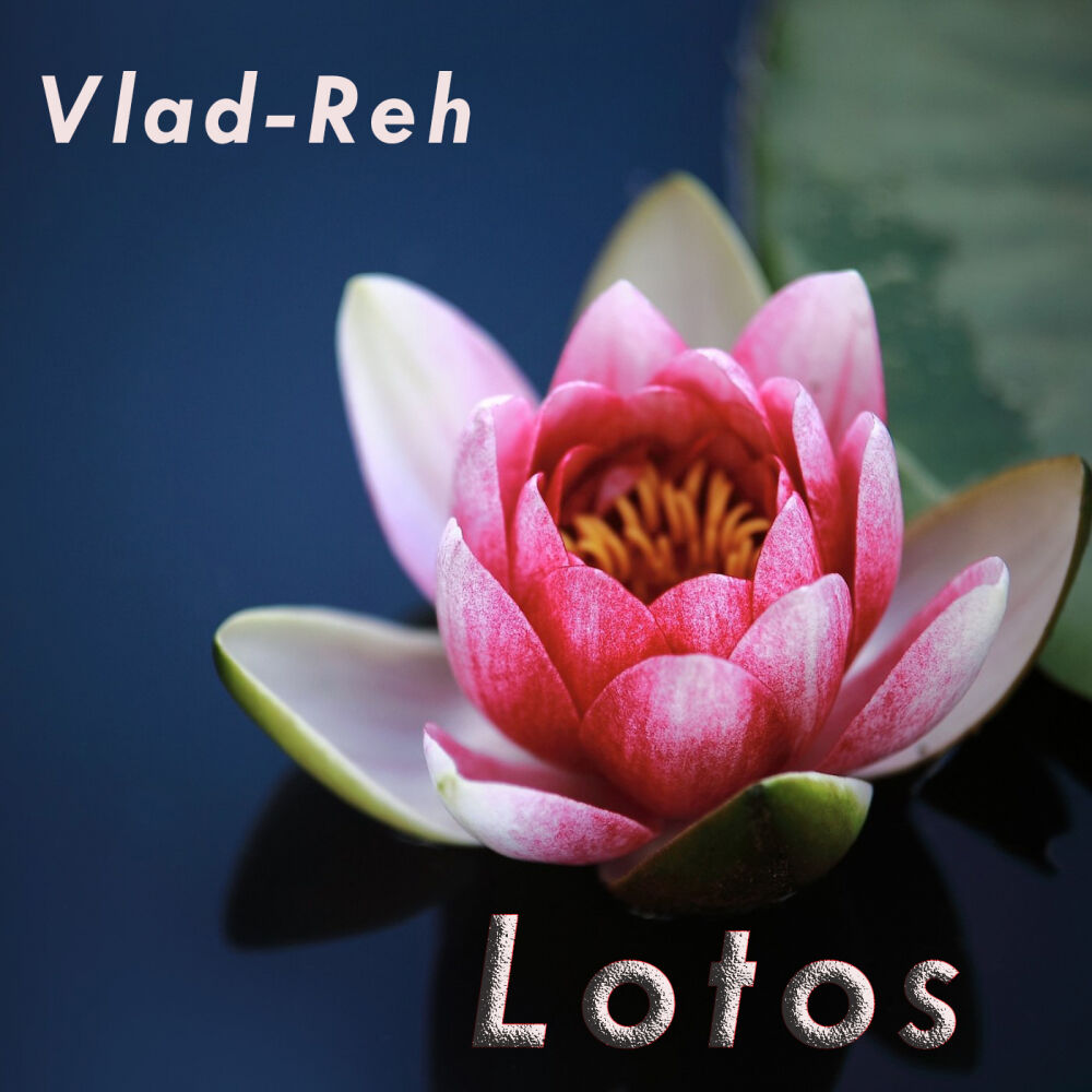 Picture of Lotos