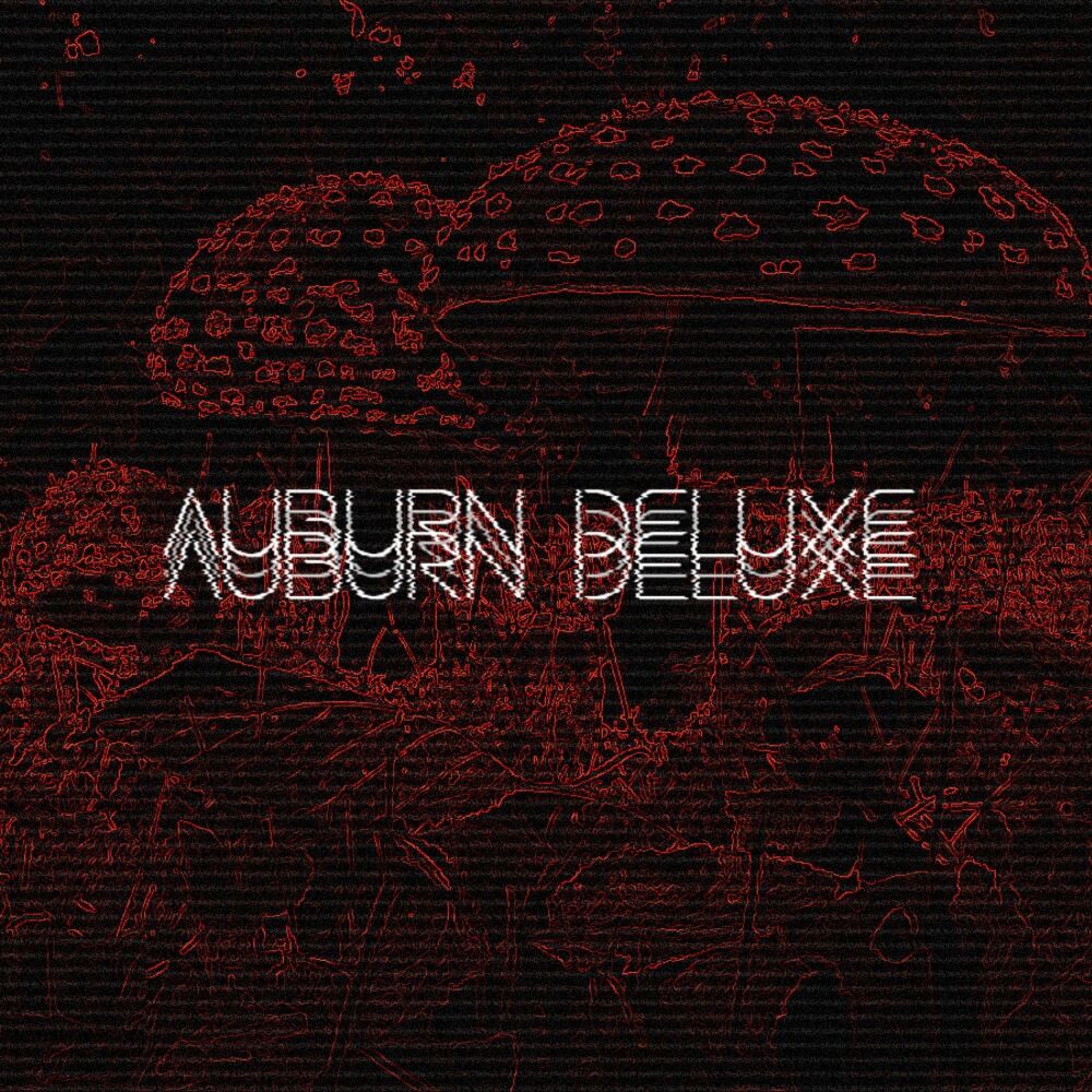 Picture of Auburn Deluxe