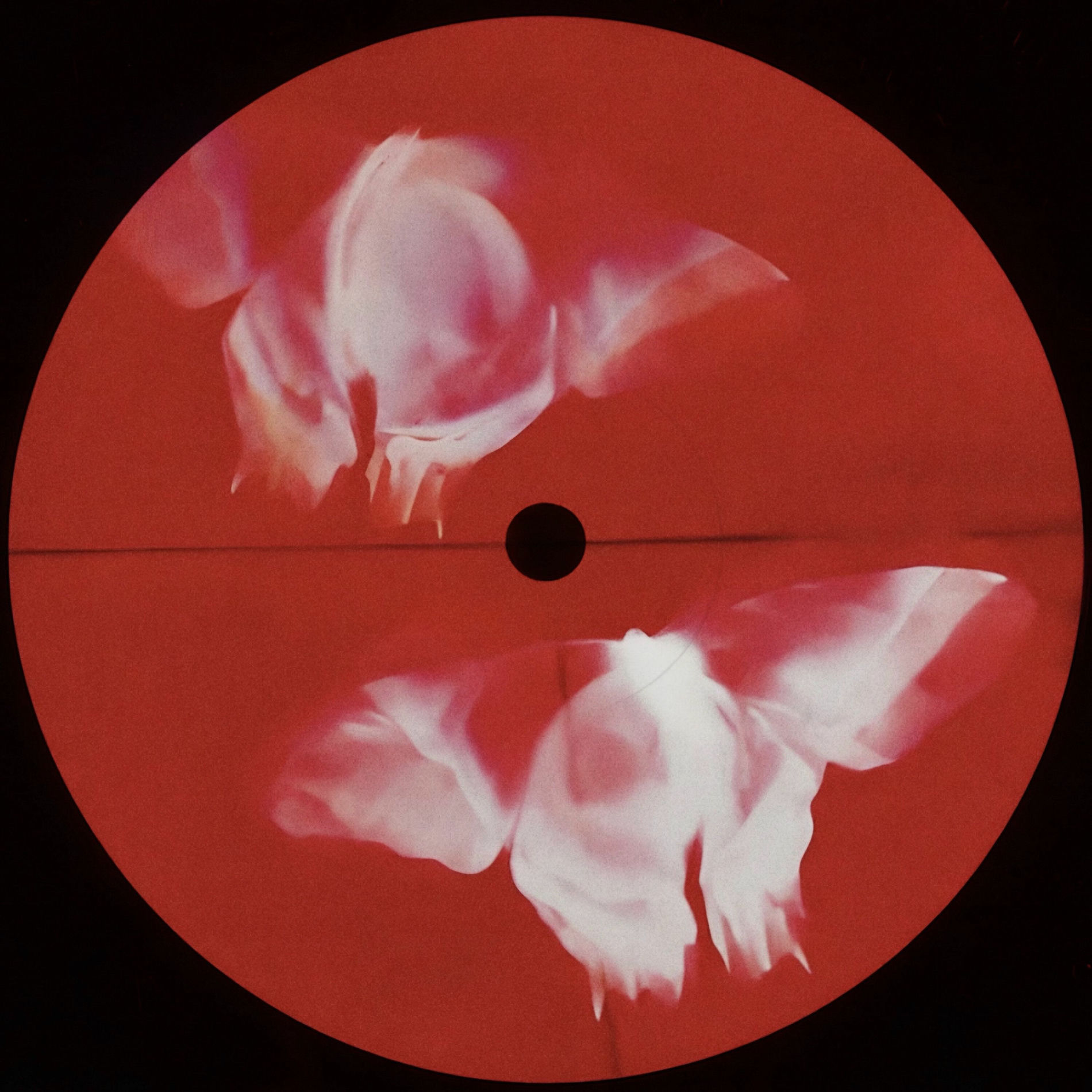 Album cover of Authentic Feeling