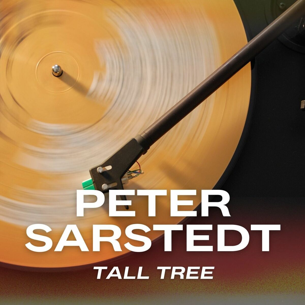 Album cover of Tall Tree