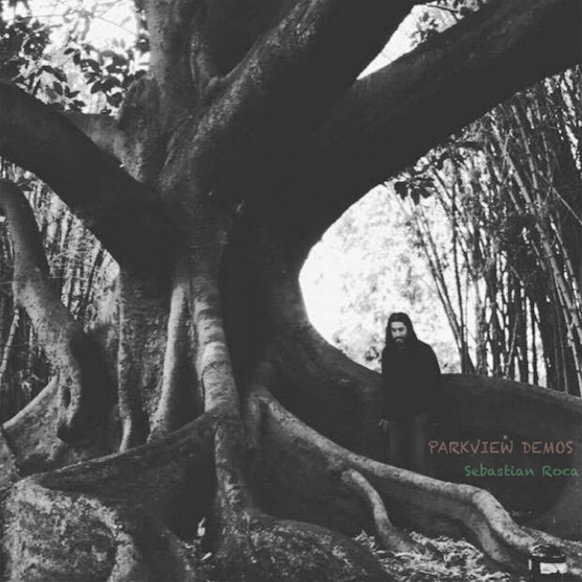 Album cover of Parkview Demos