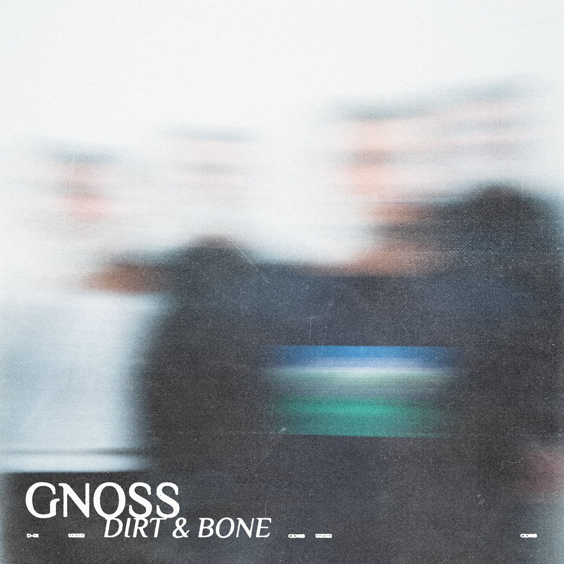 Album cover of Dirt & Bone