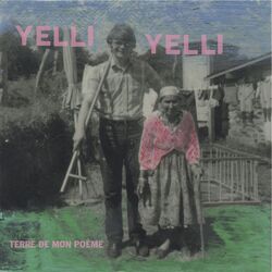 Cover of Terre de mon poème