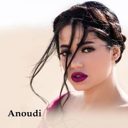 Cover of Anoudi