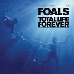 Cover of Total Life Forever