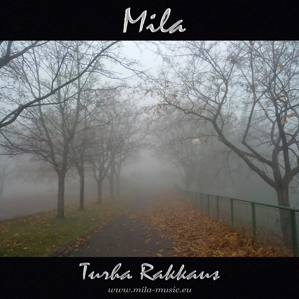 Picture of Turha Rakkaus