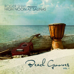 Cover of Beach Grooves, Vol. 1