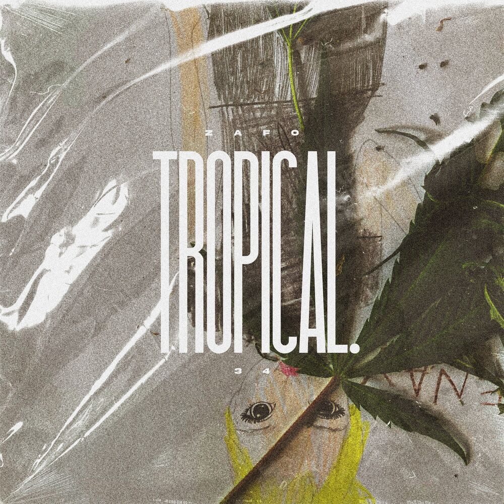 Picture of Tropical