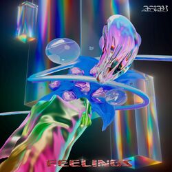 Cover of FEELINGS