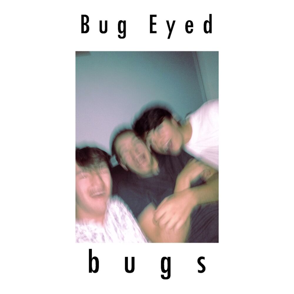 Picture of Bugs