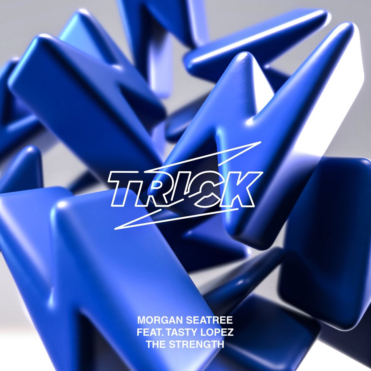 Album cover of The Strength