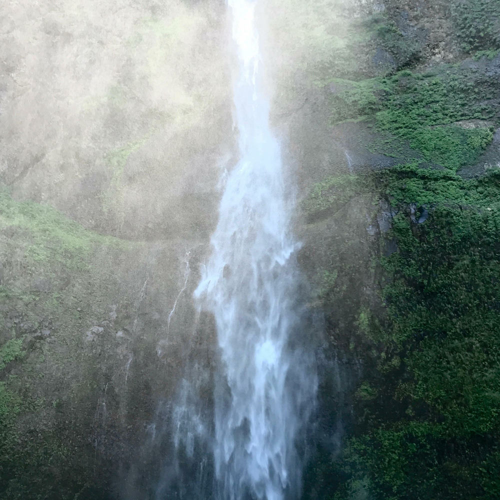 Album artwork for Nymph Falls by HYLA
