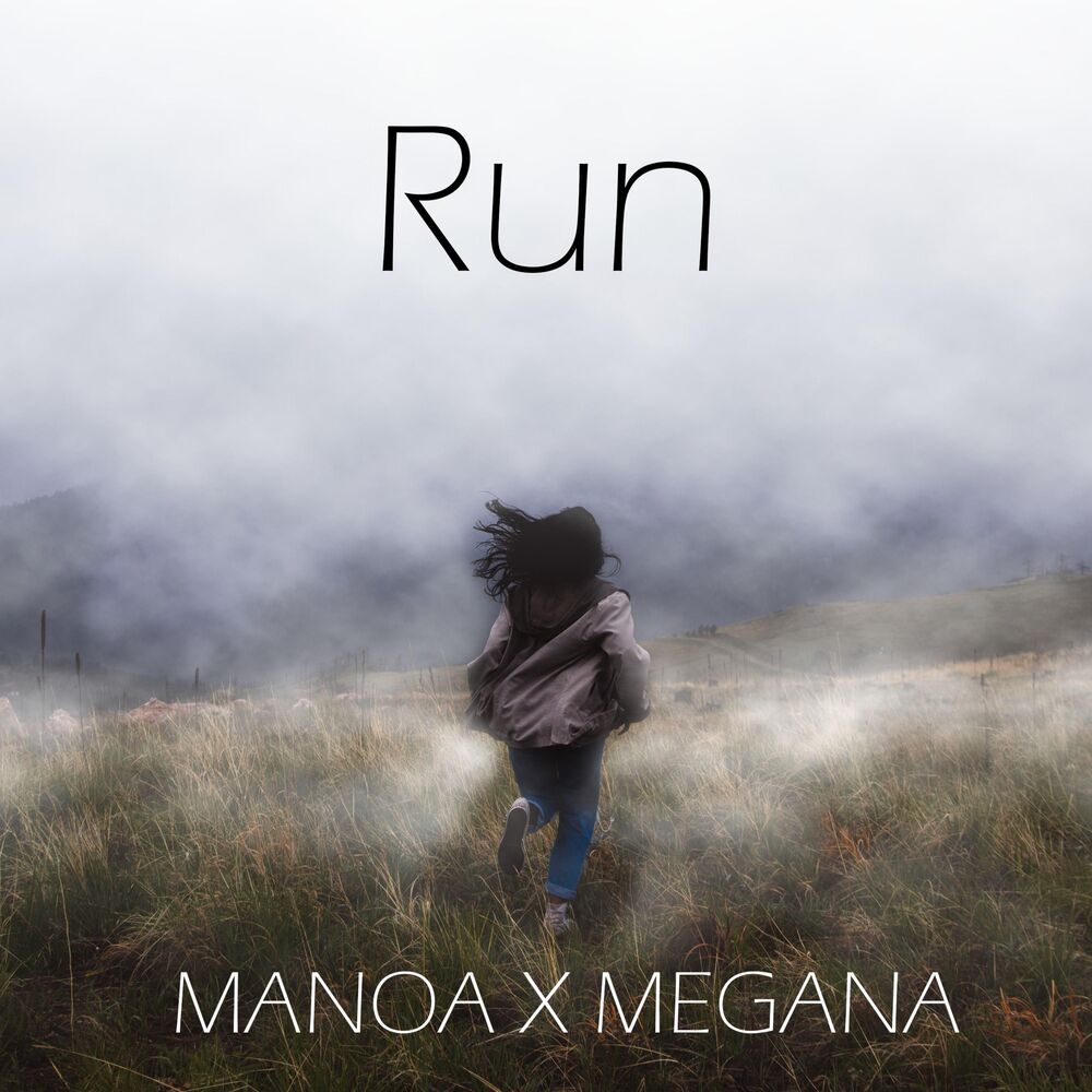 Picture of Run (feat. Megana)