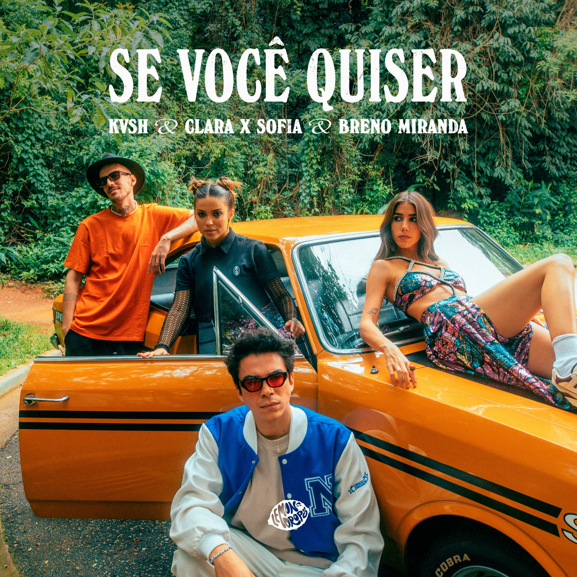 Album cover of Se Você Quiser