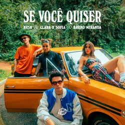 Cover of Se Você Quiser