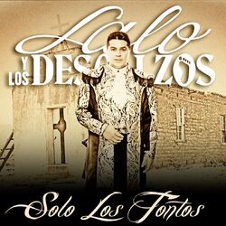 Cover of Solo Los Tontos