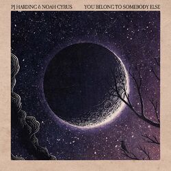 Cover of You Belong To Somebody Else