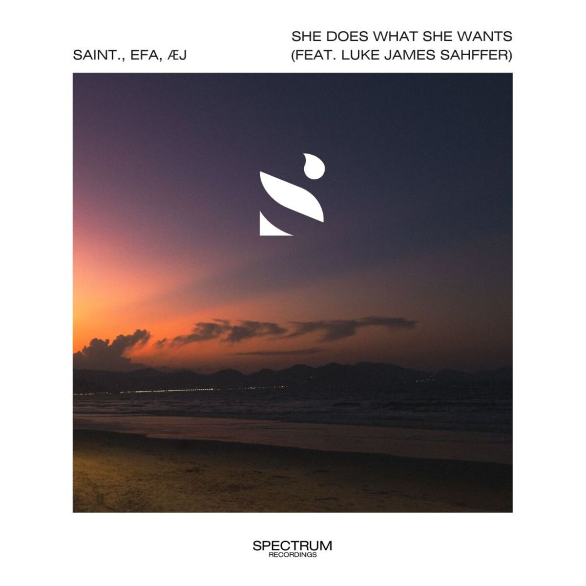 Album cover of She Does What She Wants (feat. Luke James Sahffer)