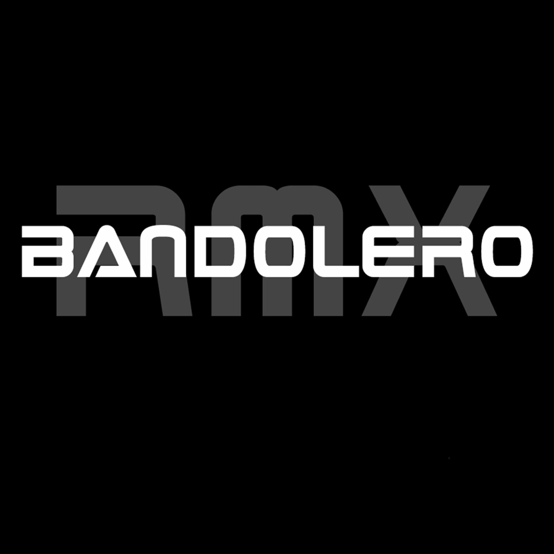 Album cover of BANDOLERO (feat. TETE, RAYRO, EL MITICO & GATO) [RMX]