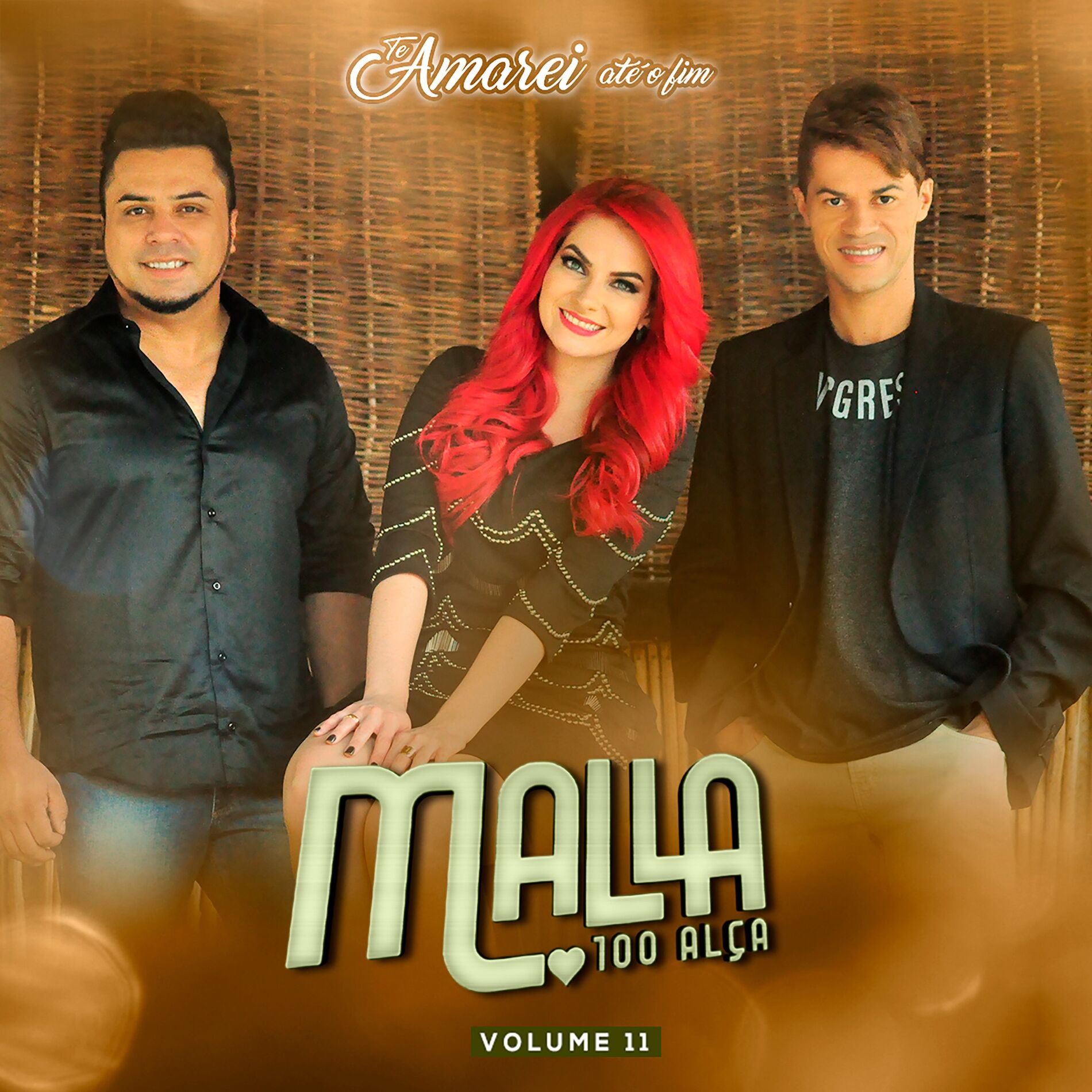 Album cover of Te Amarei Até o Fim, Vol. 11