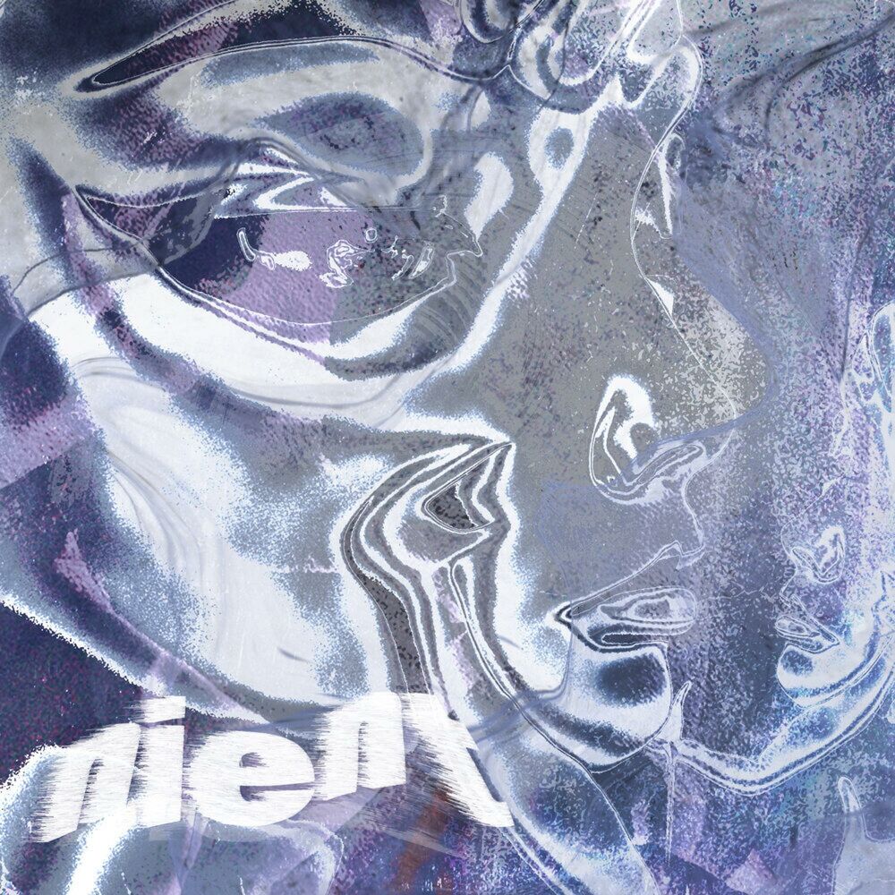 Picture of Nient
