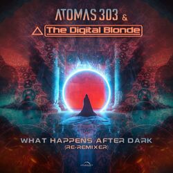 Cover of What Happens After Dark