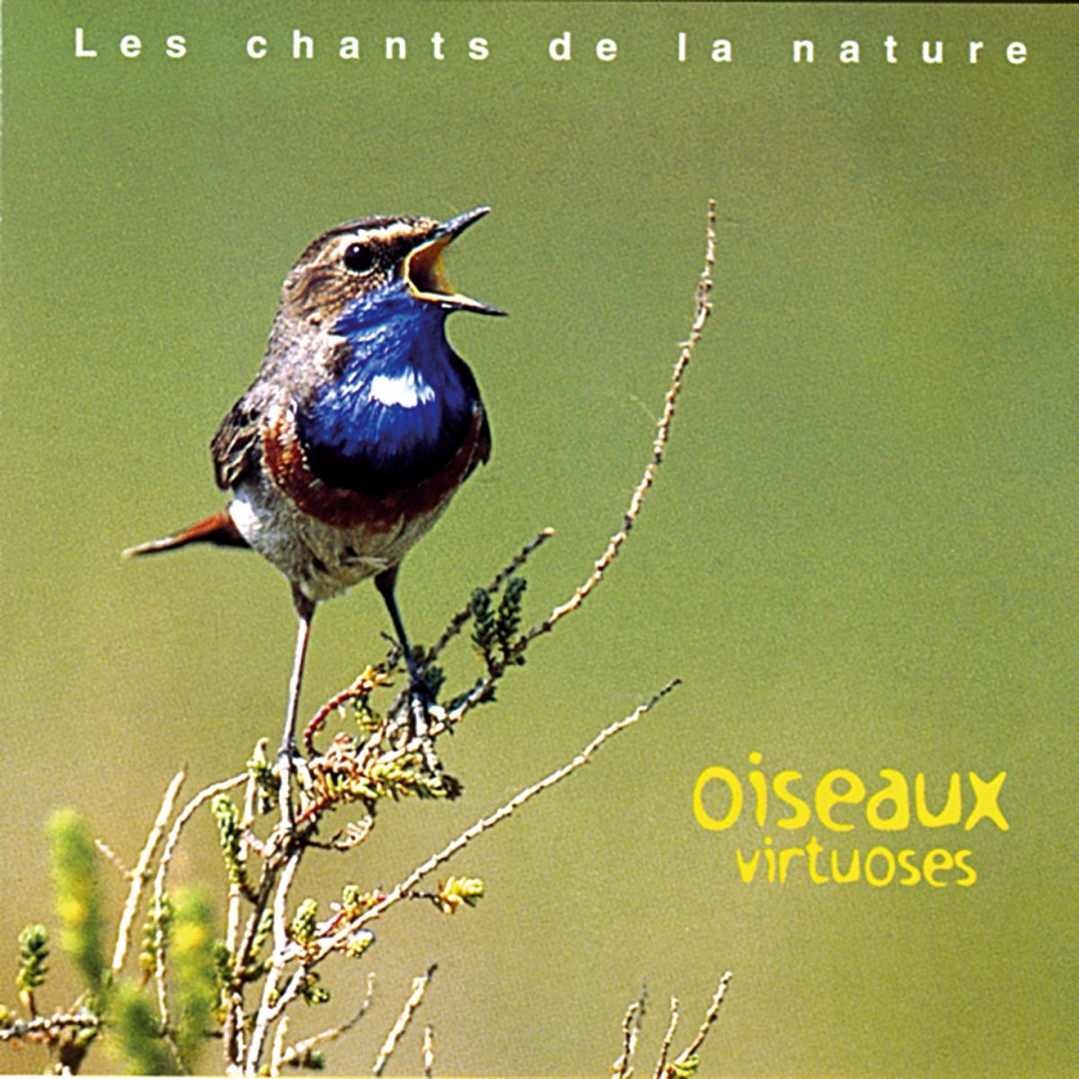 Album cover of Les chants de la nature : Oiseaux virtuoses