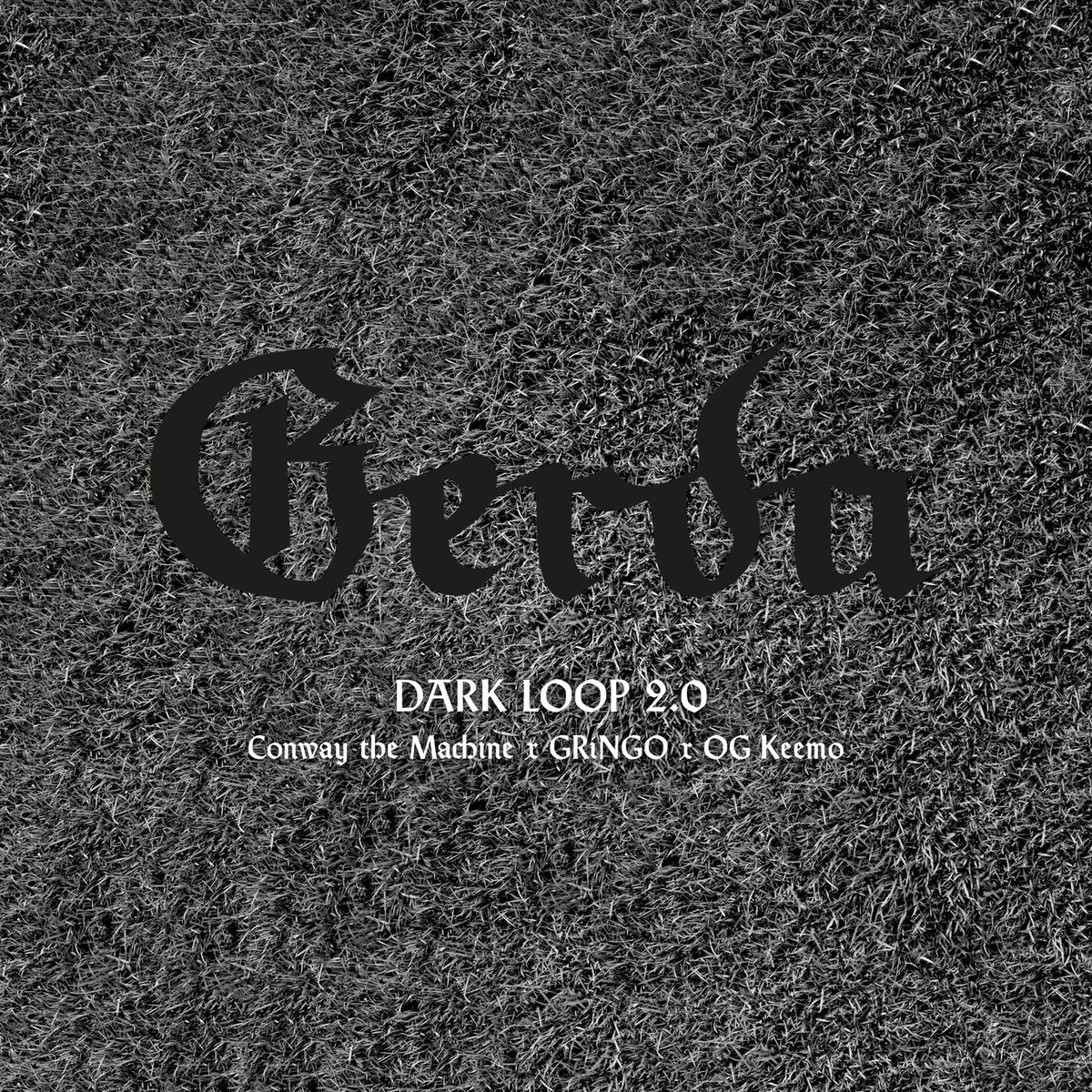 Album cover of Dark Loop 2.0