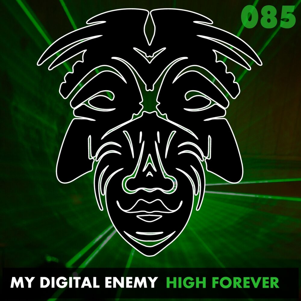 Picture of High Forever