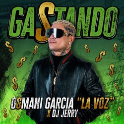 Cover of Gastando
