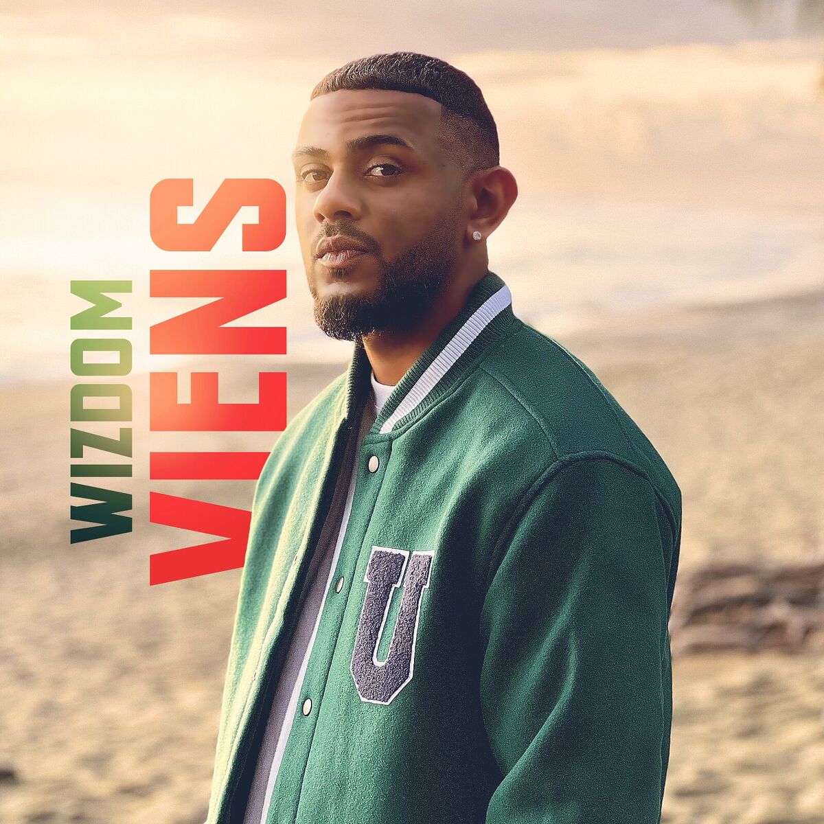 Album cover of Viens