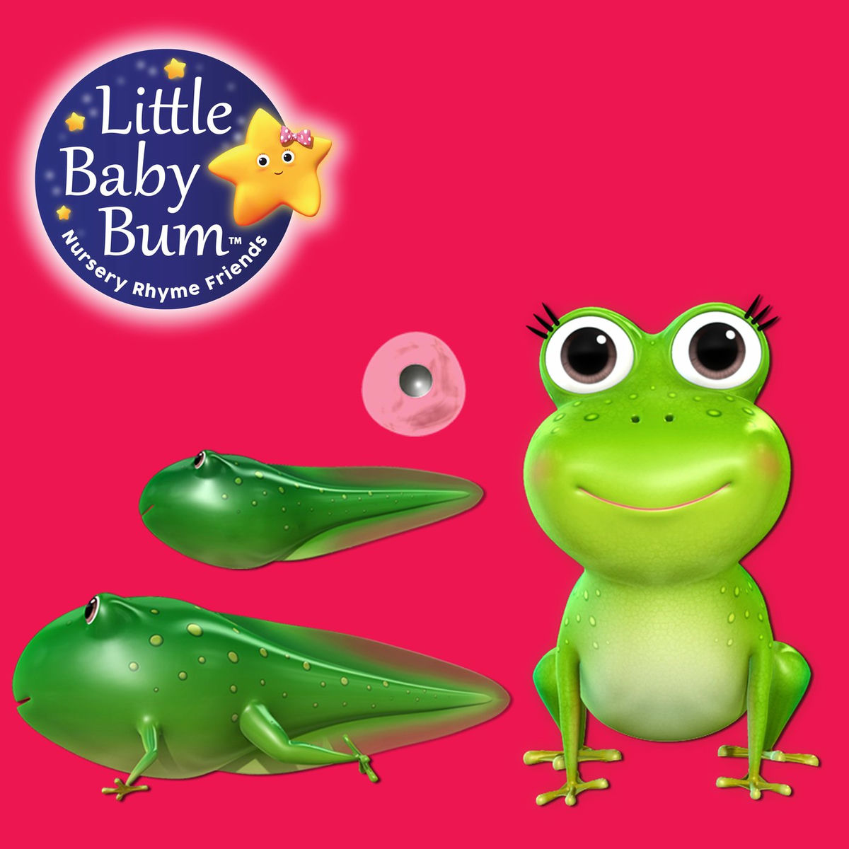 Album cover of Ciclo da Vida de um Sapo