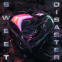 Cover of SWEET DISASTER