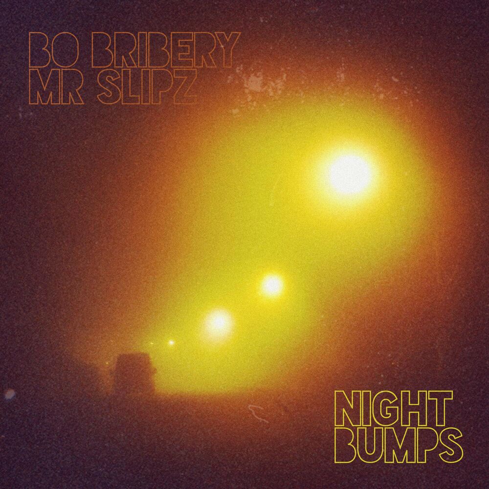 Picture of Night Bumps