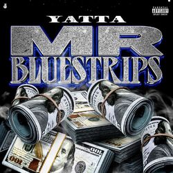 Cover of Mr Bluestrips