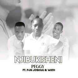 Cover of Njibukisheni