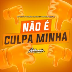 Não É Culpa Minha