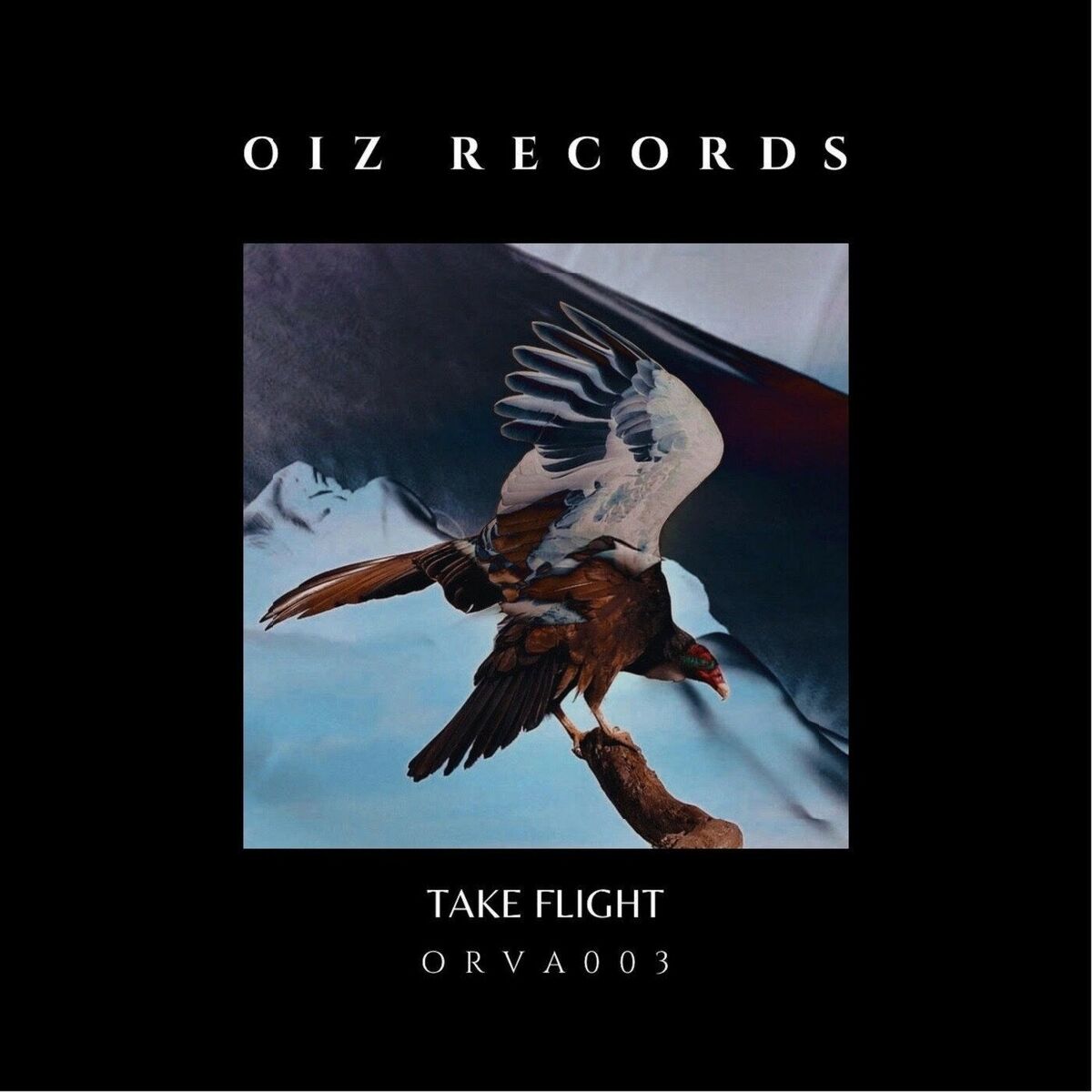 Album cover of TAKE FLIGHT
