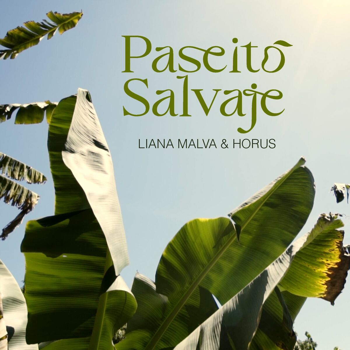 Album cover of Paseito salvaje