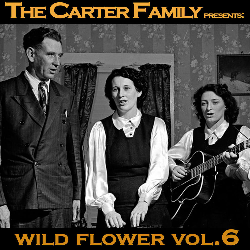Wild Flower Vol. 6 cover