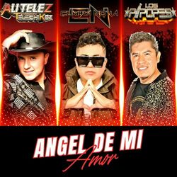 Cover of Angel De Mi Amor