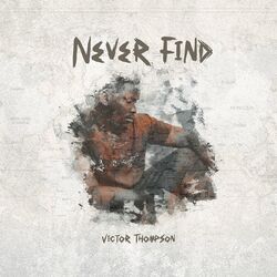 Cover of Never Find