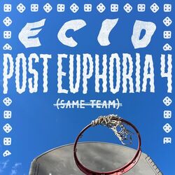 Cover of Post Euphoria 4: Same Team